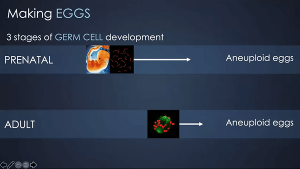 The Germline and the Environment