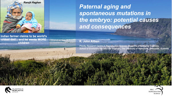 Paternal aging and spontaneous mutations in the embryo: potential causes and consequences