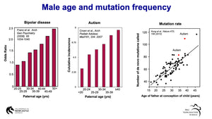 Paternal aging and spontaneous mutations in the embryo: potential causes and consequences