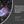 Reproduction in Space: In Vivo and Cross-Generational Effects of Microgravity and Space Radiation