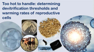Too Hot to Handle: Determining Devitrification Thresholds and Warming Rates of Reproductive Cells