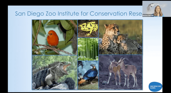 The ART of Conserving Endangered Species