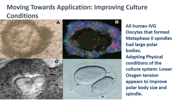 Moving IVG towards clinical application