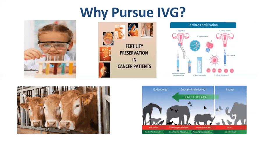 Moving IVG towards clinical application