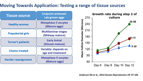 Moving IVG towards clinical application