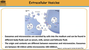Can IVF benefit from Extracellular Vesicles?
