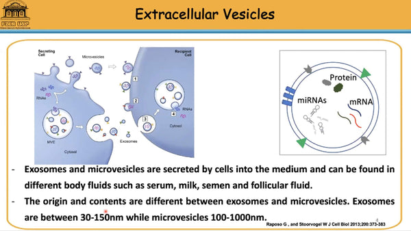 Can IVF benefit from Extracellular Vesicles?