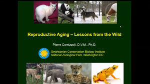 Reproductive aging – lessons from the wild