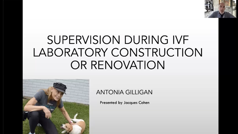 Supervision during IVF laboratory construction or renovation