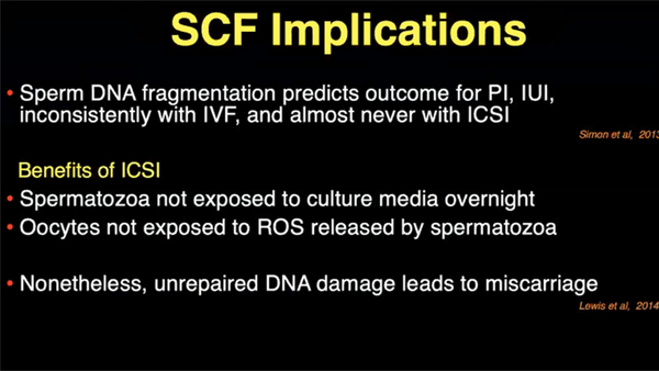 Sperm Genomic Integrity