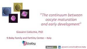 The Continuum Between Oocyte Maturation and Early Development