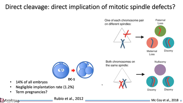 The Continuum Between Oocyte Maturation and Early Development