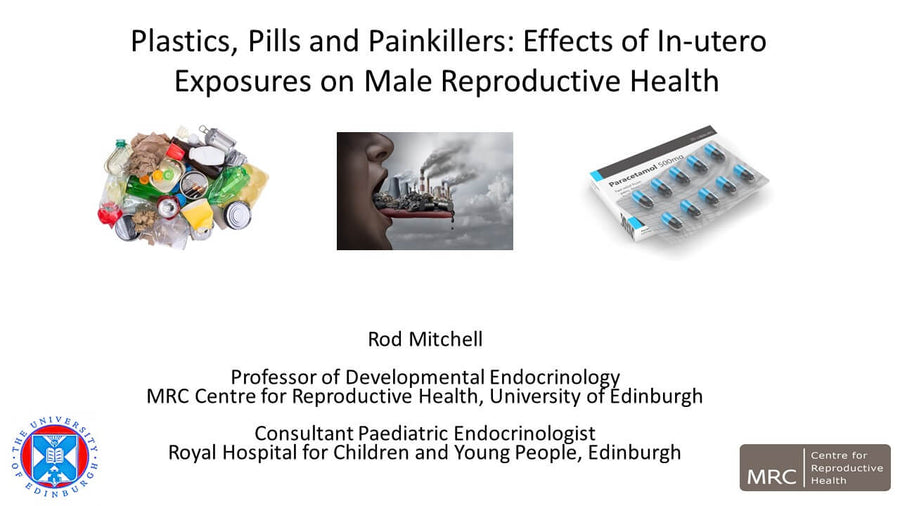 Plastics, Pills and Painkillers: Effects of In-utero Exposures on Male Reproductive Health