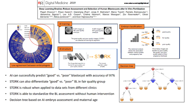 The Use of Artificial Intelligence in Reproductive Technologies