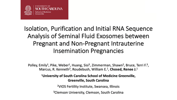 Isolation, Purification and Initial RNA Sequence Analysis of Seminal Fluid Exosomes between Pregnant and Non-Pregnant Intrauterine Insemination Pregnancies