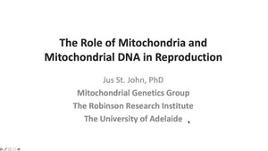 The Role of Mitochondria and Mitochondrial DNA in Reproduction