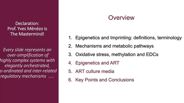 The Embryo in Culture: Imprinting, Oxidative Stress and Epigenetic Homeostasis