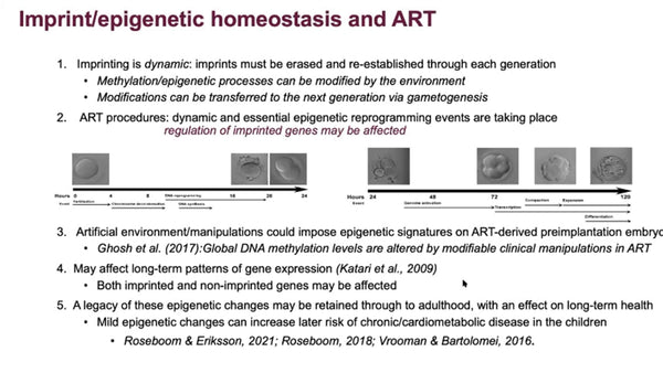 The Embryo in Culture: Imprinting, Oxidative Stress and Epigenetic Homeostasis