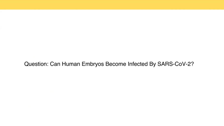 SARS-CoV-2 in the Preimplantation Embryo