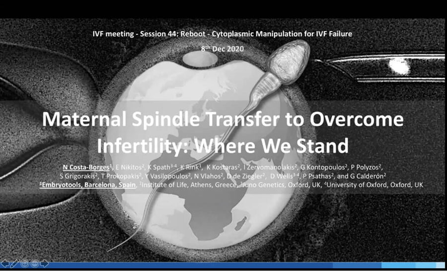 Maternal Spindle Transfer to Overcome Infertility: Where We Stand