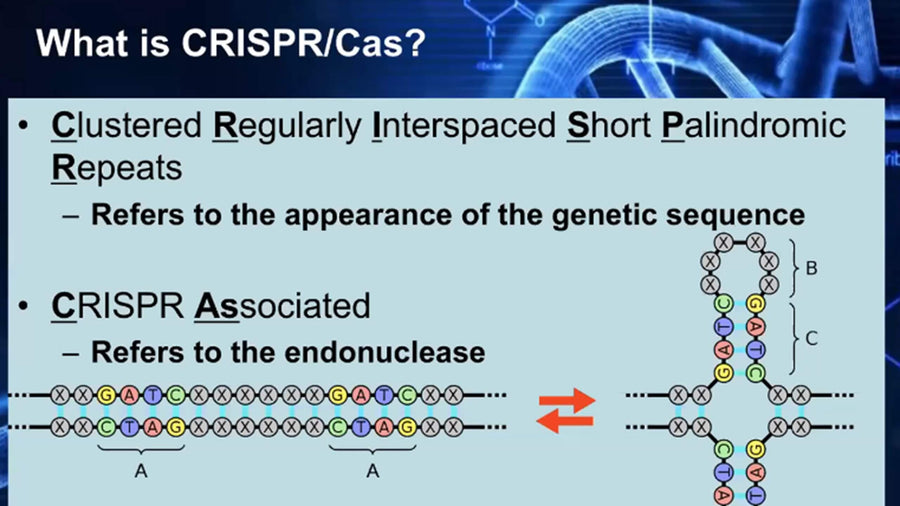 CRISPR Genome Editing.  How, What and Why?