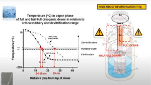 Too Hot to Handle: Determining Devitrification Thresholds and Warming Rates of Reproductive Cells