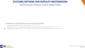 Fertility Preservation in Boys: Recent Developments and New Insights