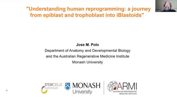 Modeling Human Blastocysts by Reprogramming Fibroblasts into iBlastoids