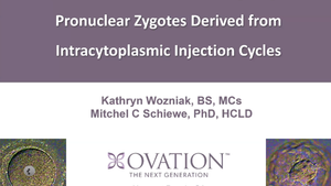 Clinical Benefits of Culturing Monopronucleated Zygotes Derived from Intracytoplasmic Injection Cycles